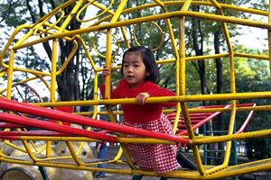 出張動物園のサービスの概要とは
