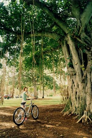 羽田空港から徒歩1分！快適な宿泊を提供する東横INN羽田空港2の全て