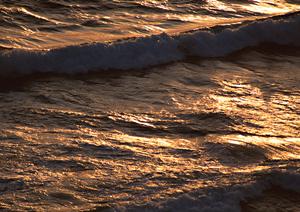 静岡・御殿場のビジネスホテル「東横INN御殿場駅前」：快適な宿泊とアクセスの良さを兼ね備えた理想の滞在先