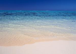 快適な滞在を提供する東横INN大田政府庁舎前：全ての宿泊ニーズに応えるビジネスホテルガイド